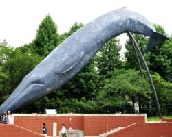 The museum is known for the life-size model of a blue whale and a steam locomotive. It also educates about pre-Meiji science in Japan.